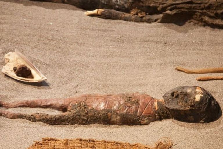 Las momias chinchorro son la evidencia más antigua conocida de cuerpos momificados artificialmente en el mundo