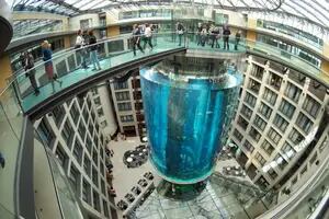 Cómo quedó el hotel de Berlín donde explotó el acuario cilíndrico más grande del mundo