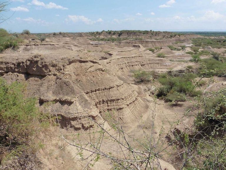 12-01-2022 La remota Formación Kibish, en el sur de Etiopía, presenta depósitos en capas de más de 300 pies de espesor que han conservado muchas herramientas y restos humanos antiguos. POLITICA INVESTIGACIÓN Y TECNOLOGÍA CÉLINE VIDAL