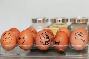 Los expertos de Harvard revelan cuántos huevos se pueden comer por día