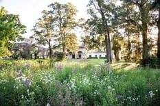 La aventura de una paisajista que transformó el jardín de una antigua estancia en un paseo de flores