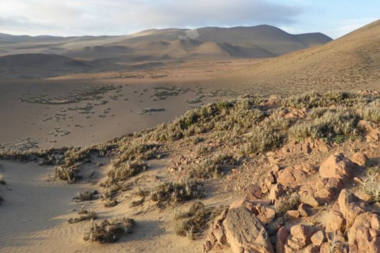 El cinturón desértico entre Perú y Chile es hiperárido y considerado el más seco del mundo