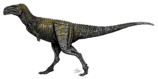 Spectrovenator, der zeitlich am nächsten stehende Apelisaurier aus Brasilien