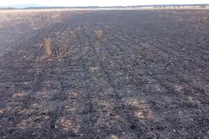 Un impresionante incendio arrasó un campo y dejó millonarias pérdidas