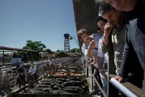 A pesar de la caída de la oferta, bajó el valor de la hacienda en el Mercado de Liniers