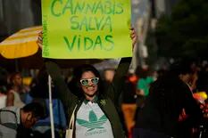 La Corte avaló el cultivo de cannabis para uso medicinal, pero autorizado por el Estado