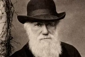 “Crueldad”: el horror de Charles Darwin ante la esclavitud en Brasil y cómo marcó sus teorías