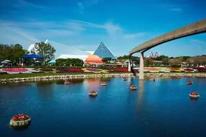 La oferta exclusiva de World Disney World para residentes de Florida
