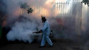 Lanzaron la campaña anual contra el mosquito transmisor del dengue, zika y chikungunya