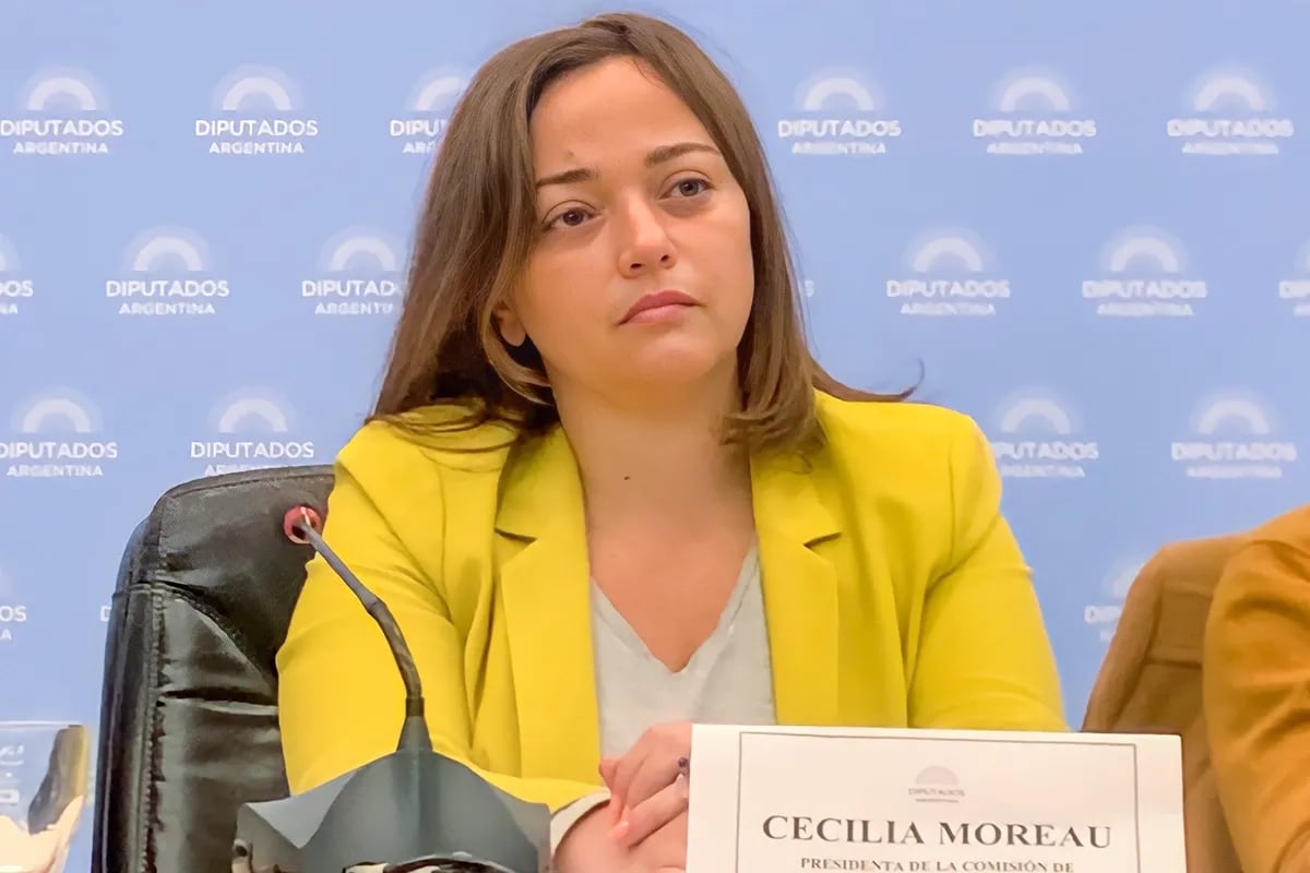 Cecilia Moreau pensó que no iban a escucharla y lanzó una polémica frase en  plena sesión de Diputados - LA NACION