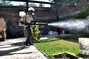 Corrientes informó la primera muerte por dengue
