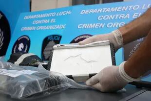 Narcotráfico: hallan el misterioso sello del delfín en un cargamento de cocaína secuestrado en Saavedra