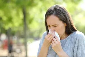 Detectan una clave inmunológica que podría explicar por qué se perpetúan las alergias