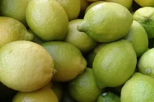 La partida exportada estuvo integrada por 6.405 pallets de limones, 4.823 de naranja, 860 de mandarinas, 166 de peras, más un lote con 6 pallets de nuez.