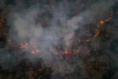 Desesperado combate de incendios en la selva salteña