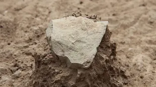 El artefacto tiene más de 17.000 años