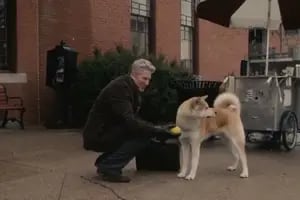 La emotiva película de Hachiko, el perro más fiel del mundo, que podés ver en Prime Video