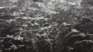 Boceto para la construcción de un paisaje. La laguna de Zempoala (2015) es una serie de paisajes en carbonilla en los que reflexiono sobre la vida después de la muerte. Para hacerlos, miré mucho a Claude Monet