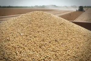 La soja sin vender se valorizó en US$340 millones