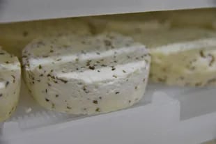 Los quesos tienen un sabor distinto, especial, porque están signados por el escobajo y el orujo de esas uvas que comen las cabras
