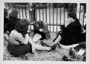 Tras la liberación de Antwerp por parte de los Aliados, un grupo de mujeres belgas que colaborar con los nazis fueron encerradas en la jaula de los leones del zoológico local para que todos pudiesen ver sus rotros. Circa 1944. Getty Images.