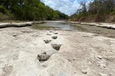 Un río se secó y dejó espeluznantes rastros de presencia de dinosaurios