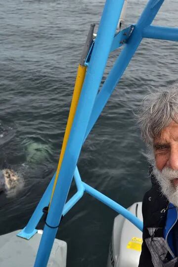 El pionero del avistaje de ballenas que lo único que quiere es vivir en el fondo del mar y ya sabe cómo hacerlo