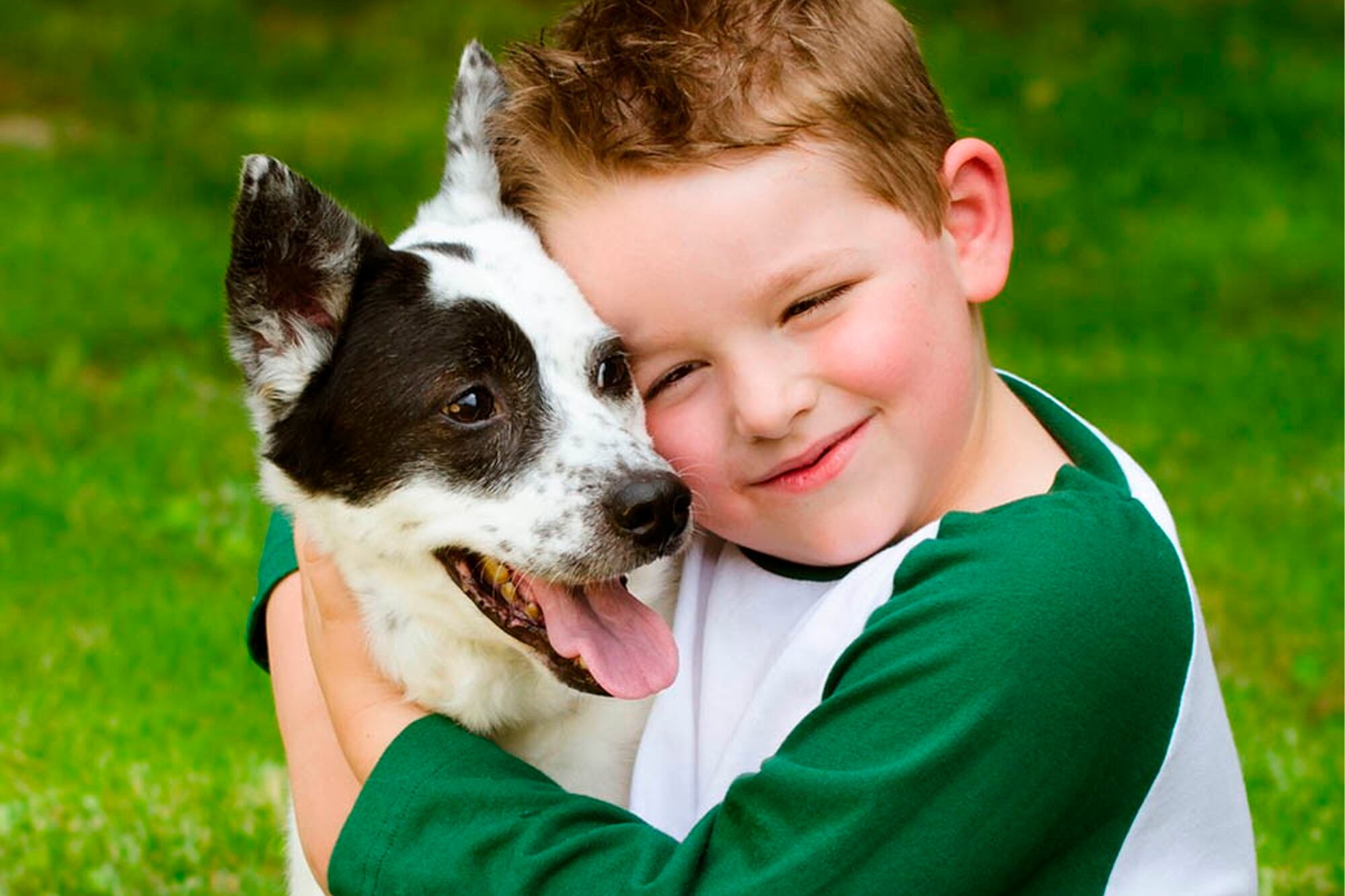 Las razas de perros más amigables para criar con niños