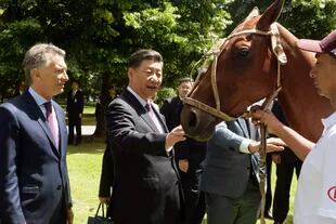 Macri y el líder chino, Xi Jinping, en la Residencia de Olivos