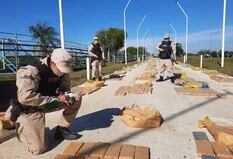 Operación “Pino verde”: secuestran más de seis toneladas de marihuana en Corrientes