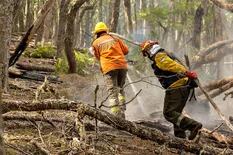 Unas 5000 hectáreas de bosque arden en Tierra del Fuego