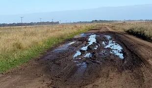 Según los productores del distrito, el estado de los caminos rurales en todo el partido es pésimo