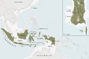 Este descubrimiento genético sugiere que Indonesia y las islas circundantes, una zona conocida como Wallacea, fue el punto de encuentro para el mayor evento de mezcla y apareamiento entre los denisovanos y los humanos modernos, en su viaje inicial a Oceanía