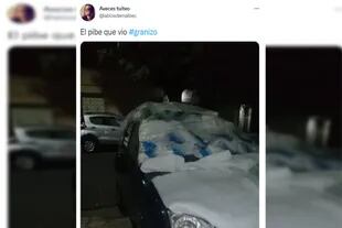 Un hombre camufló su auto para que no sufriera daños Captura Twitter)