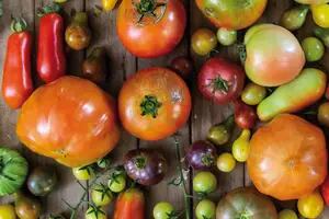 Los tomates gourmet preferidos de los cocineros top