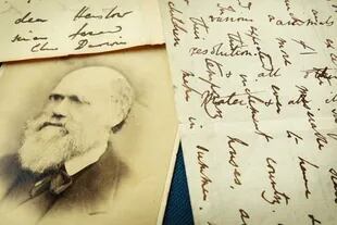 Charles Darwin describió el beso malayo