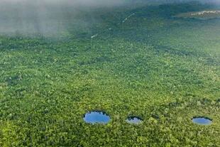 Una vista aéra de la Reserva del Bosque Maya de Belice, un reservorio natural en el noroeste de ese país centroamericano