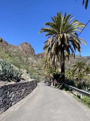 Las Islas Canarias se caracterizan por su paisaje agreste, entre las playas y las montañas.