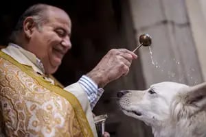 El día en que todos los animales son bendecidos en España