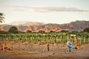 De La Rioja a Tucumán, una Ruta del Vino alternativa en el Noroeste
