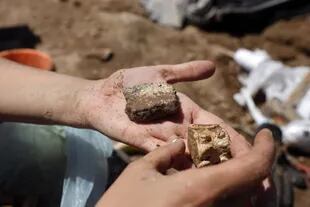 Los restos de otro gliptodonte son retirados de las rocas