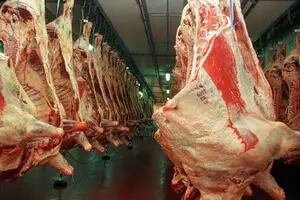 En el primer cuatrimestre cayó un 17,3% en valor la exportación de carne vacuna