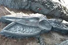 Hallan un esqueleto de ballena de más de 3000 años perfectamente conservado