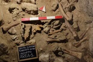 La Gruta Guattari fue descubierta por casualidad en 1939 y es un yacimiento riquísimo para una serie de disciplinas, como la arqueología y la antropología