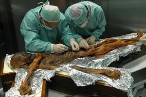 Los reveladores detalles sobre el aspecto de Ötzi, la momia congelada más antigua del mundo