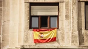 De obtenerse la ciudadanía española, se otorga acceso además al sistema educativo local, trabajos dentro de la comunidad europea y el libre tránsito