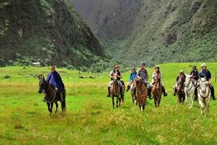 Una cabalgata en Hacienda Zuleta, en Quito, Ecuador, con caballos zuletanos. 