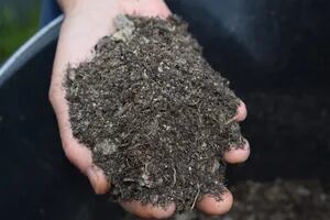 Tres claves naturales que te ayudarán a preparar un suelo fértil en la huerta y el jardín para la próxima primavera