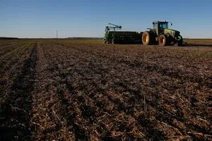 Una consultora advierte sobre el riesgo de una de las peores siembras de trigo de los últimos 50 años