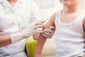 Qué vacunas son obligatorias en el ciclo lectivo 2024